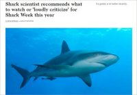 衰えないB級サメ映像人気！ ときには苦言を呈しつつ、海洋専門家も熱心にチェック