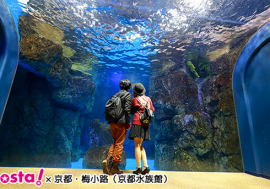 コスプレイベント「acosta!」が京都梅小路エリアの人気の水族館など貸切に加え撮影可能エリア超拡大で開催決定！！