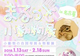 ハリ・ハム・リス・モモンガで新年初癒し！「まるっと小動物展」初の巡回展・名古屋開催が1月13日～2月18日に決定！！
