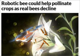 減少するミツバチの代わりになるか!?　ブンブン飛んで農作物を受粉させる“ミツバチドローン”開発中！