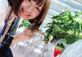 『東京ストロベリーパーク』がイチゴ好きの、イチゴ好きによる、イチゴ好きのための神施設！年間通い必至！（後編）