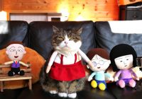 「ちびまる子ちゃんねる」YouTube公式チャンネル開設記念！「まる子」とギネス猫「まる」がコラボ！
