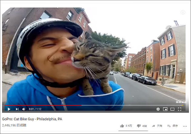 サイクリングもお手の物ニャッ！ 肩の上で悠々自適にツーリングを楽しむ猫【YouTube厳選猫動画】の画像2