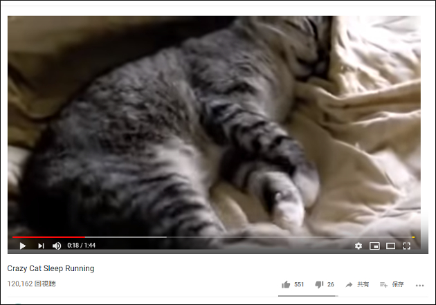 どんな夢を見ているの!?  寝ているのに足をばたつかせる猫【YouTube厳選猫動画】の画像1