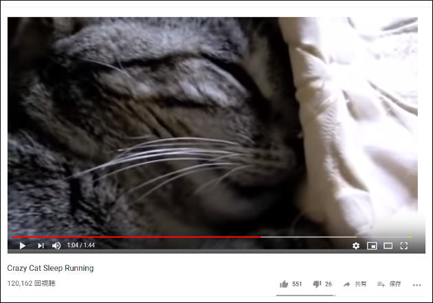 どんな夢を見ているの!?  寝ているのに足をばたつかせる猫【YouTube厳選猫動画】の画像2