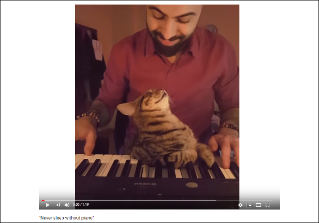 いい夢見てそう……音楽に酔いしれる猫ちゃん【YouTube厳選猫動画】の画像1