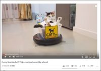 【YouTube厳選猫動画】乗り心地はいかが？ ルンバに乗って運ばれる猫