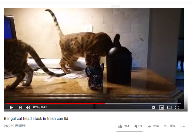 【YouTube厳選猫動画】ゴミ箱のフタが顔にハマっちゃった猫が不憫……「た、助けてにゃ……」の画像2
