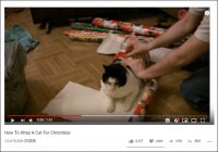 【YouTube厳選猫動画】なぜか大人しくラッピングされる猫……しっかりプレゼント仕様にされてしまう