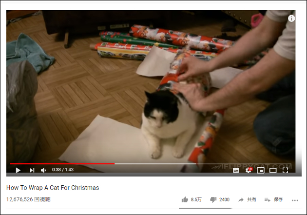 【YouTube厳選猫動画】なぜか大人しくラッピングされる猫……しっかりプレゼント仕様にされてしまうの画像1