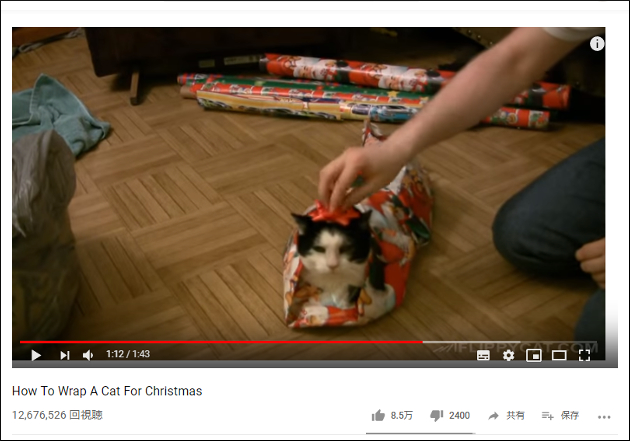 【YouTube厳選猫動画】なぜか大人しくラッピングされる猫……しっかりプレゼント仕様にされてしまうの画像2