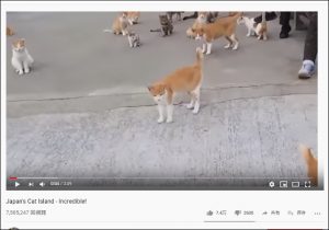 Youtube厳選猫動画 もはや何の生き物なの おデブすぎて猫に見えない猫 おたぽる