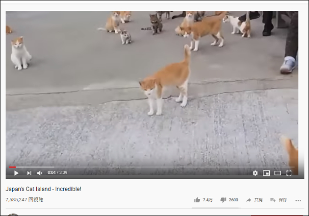 【YouTube厳選猫動画】人より猫が多い島？ 日本の青島が本当に猫だらけだった……の画像1