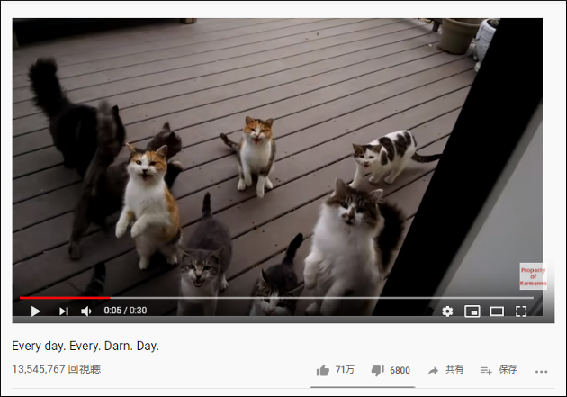 【YouTube厳選猫動画】ご飯がもらえればそれでいい!?　現金な猫ちゃんたちの画像1
