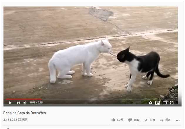 【YouTube厳選猫動画】ビ、ビビッてねぇし！　ビックリしすぎた猫がまさかの行動に……の画像1
