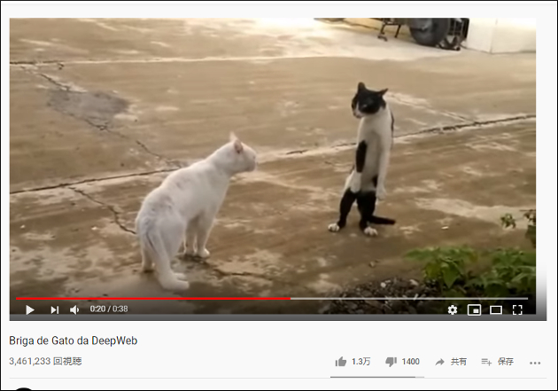 【YouTube厳選猫動画】ビ、ビビッてねぇし！　ビックリしすぎた猫がまさかの行動に……の画像2