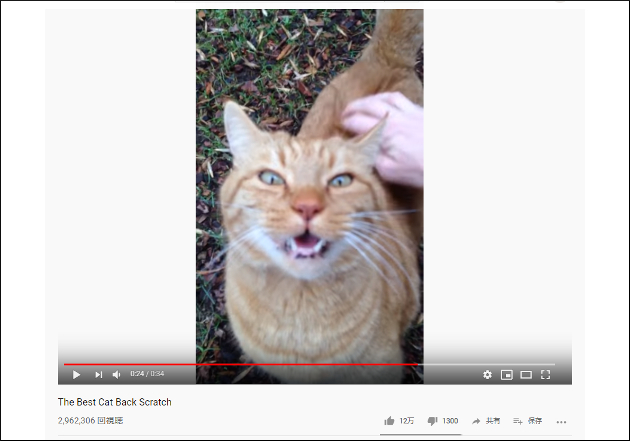 【YouTube厳選猫動画】視聴者困惑……撫でられると変な声が出ちゃう猫ちゃんの画像2