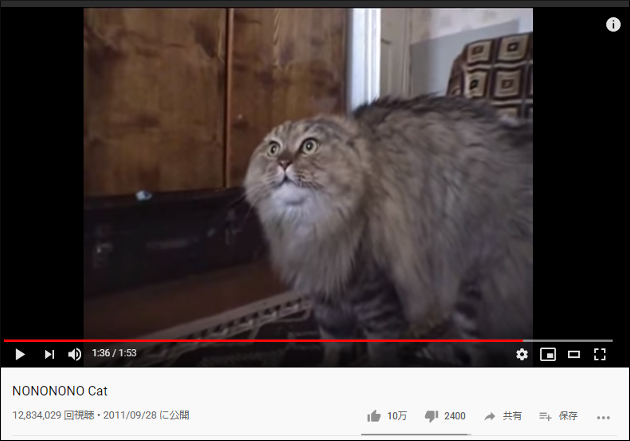 【YouTube厳選猫動画】拒否する意思が強すぎる!?　ひたすら「NO」と言い続けるにゃんこの画像2