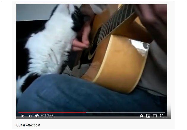 【YouTube厳選猫動画】そっちかよ!? ギターの楽しみ方が特殊な猫ちゃんの画像2