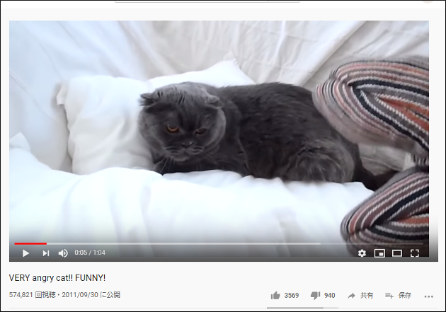 【YouTube厳選猫動画】「近寄るにゃ！」 尋常じゃなくキレる猫ちゃんの画像1