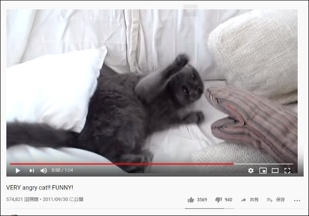 【YouTube厳選猫動画】「近寄るにゃ！」 尋常じゃなくキレる猫ちゃんの画像2