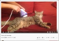 【YouTube厳選猫動画】リアクションがもはやおっさん!? マッサージで昇天する猫ちゃんが癒し
