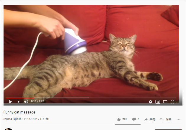 【YouTube厳選猫動画】リアクションがもはやおっさん!? マッサージで昇天する猫ちゃんの画像1