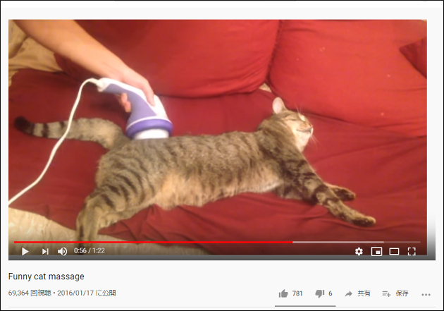 【YouTube厳選猫動画】リアクションがもはやおっさん!? マッサージで昇天する猫ちゃんの画像2