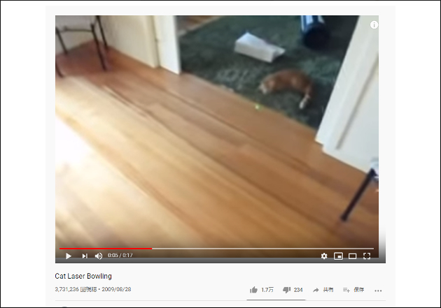 【YouTube厳選猫動画】どうしてこうニャった!? 撮影者の術中にハマってしまった猫ちゃんの画像1
