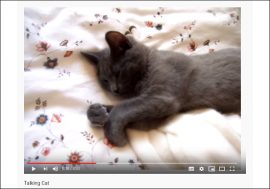 【YouTube厳選猫動画】「あと2分だけ……むにゃむにゃ」 起こされても全然起きようとしない猫がかわいい