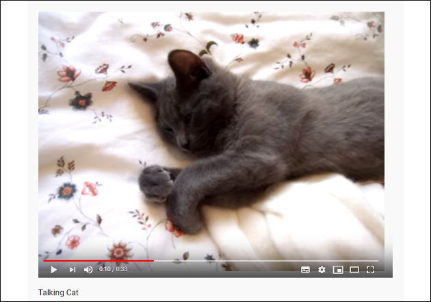 【YouTube厳選猫動画】「あと2分だけ……むにゃむにゃ」 起こされても全然起きようとしない猫の画像1