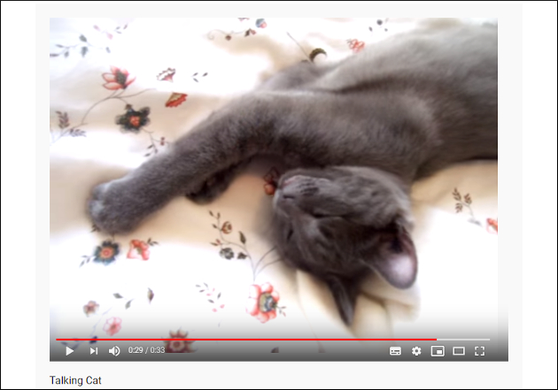 【YouTube厳選猫動画】「あと2分だけ……むにゃむにゃ」 起こされても全然起きようとしない猫の画像2
