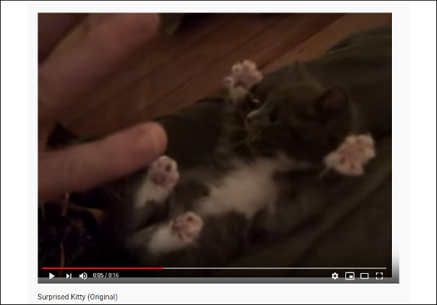 【YouTube厳選猫動画】反則級の可愛さに悶絶死……ご主人様に合わせて「ばあ」をする子猫の画像2