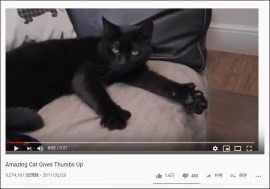 【YouTube厳選猫動画】なんかわからないけど超イケメン！ 親指で「イイネ」をする黒猫が癒し