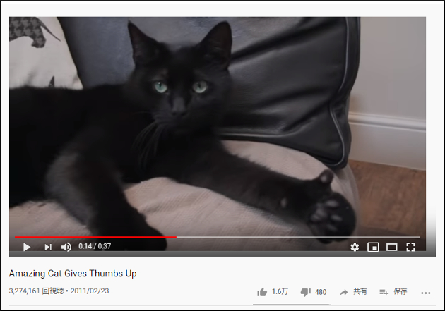 【YouTube厳選猫動画】なんかわからないけど超イケメン！ 親指で「イイネ」をする黒猫の画像2
