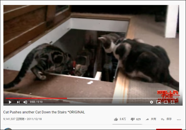 【YouTube厳選猫動画】ベストタイミングでプッシュされちゃった猫。その結果……の画像1