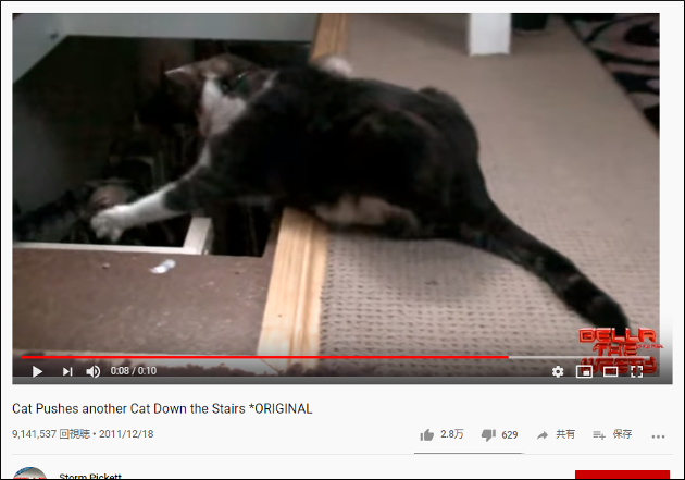 【YouTube厳選猫動画】ベストタイミングでプッシュされちゃった猫。その結果……の画像2