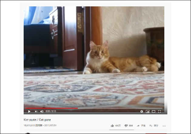 【YouTube厳選猫動画】もはやUMAにしか見えない!? 二足歩行で歩く猫の画像1