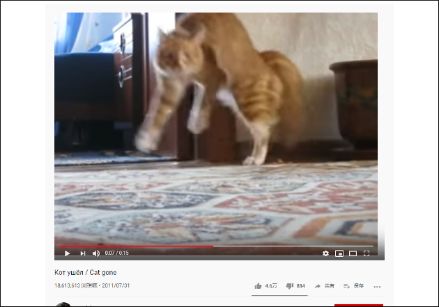 【YouTube厳選猫動画】もはやUMAにしか見えない!? 二足歩行で歩く猫の画像2