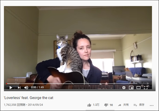 【YouTube厳選猫動画】「ギターじゃなくて僕を触って！」 演奏を妨害しまくる猫の画像1