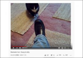 【YouTube厳選猫動画】まるで高速ビンタ!?　猫界に旋風を巻き起こす（？）猫パンチ