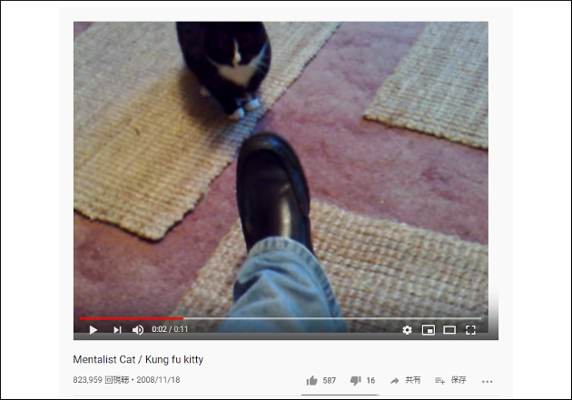 【YouTube厳選猫動画】まるで高速ビンタ!?　猫界に旋風を巻き起こす（？）猫パンチの画像1