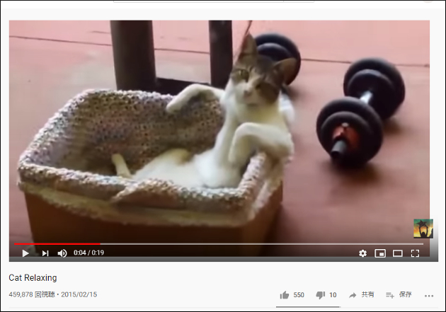 【YouTube厳選猫動画】「完全に中身おじさんでしょ」 人間みたいな座り方をする猫さん……の画像1