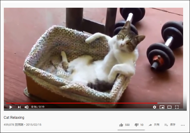 【YouTube厳選猫動画】「完全に中身おじさんでしょ」 人間みたいな座り方をする猫さん……の画像2