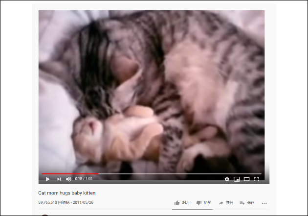 Youtube厳選猫動画 これが本物の 愛 か 猫の親子に思わず感動 おたぽる