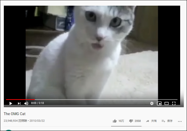 Youtube厳選猫動画 それどんな感情 口をあんぐりと開ける猫 おたぽる