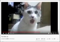 【YouTube厳選猫動画】それどんな感情……？ 口をあんぐりと開ける猫