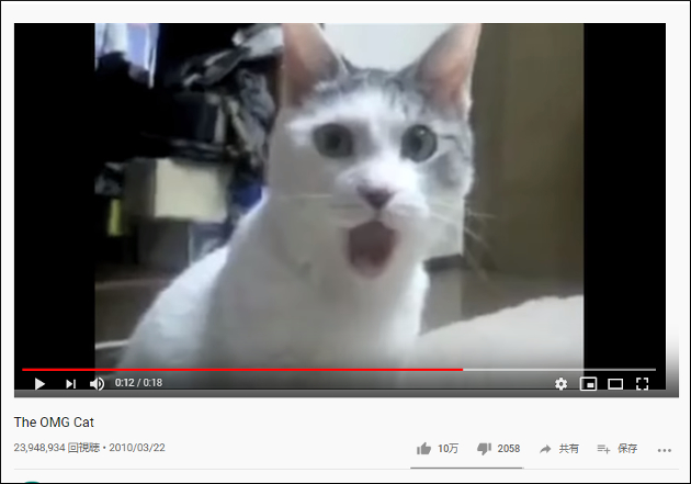 【YouTube厳選猫動画】それどんな感情……？ 口をあんぐりと開ける猫の画像2
