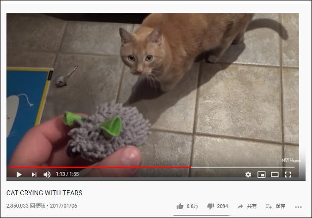 【YouTube厳選猫動画】おもちゃなくしちゃった……悲しすぎて猫が号泣!?の画像2
