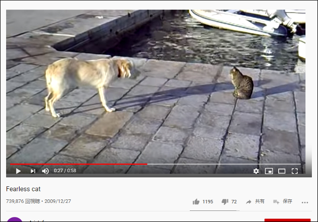 【YouTube厳選猫動画】こいつできる……！ 歴戦の戦士のような佇まいの猫ちゃんの画像2
